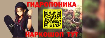 сатива Коммунар