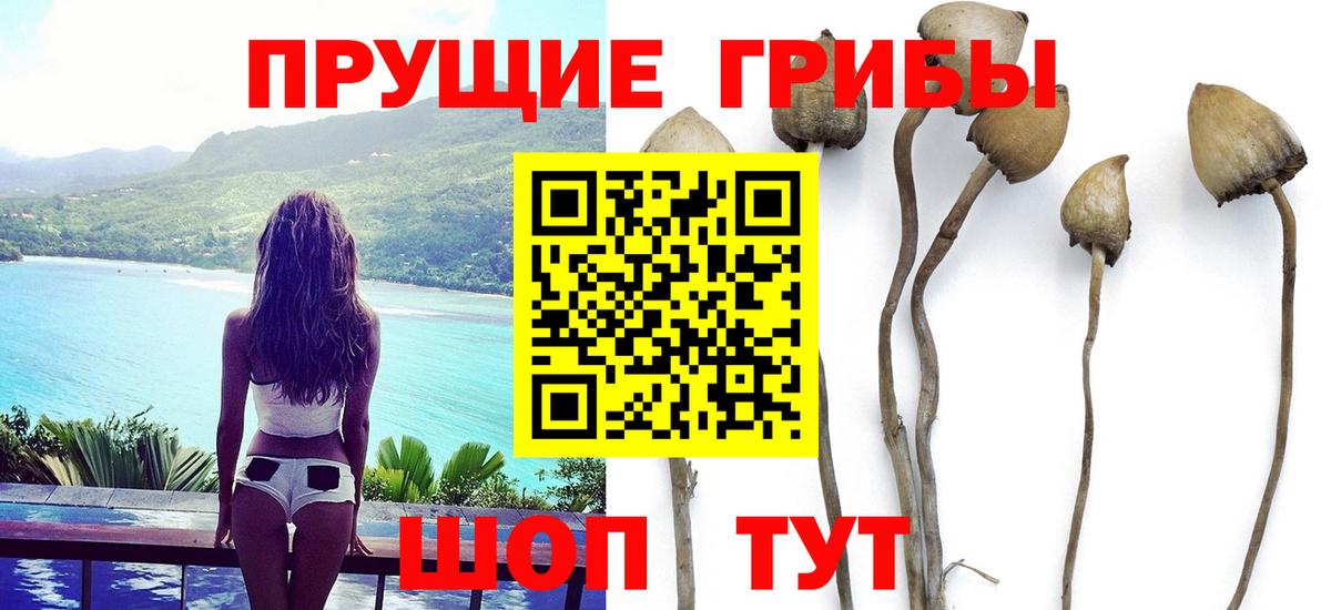 Псилоцибиновые грибы Magic Shrooms  Вход с VPN  Куйбышев 
