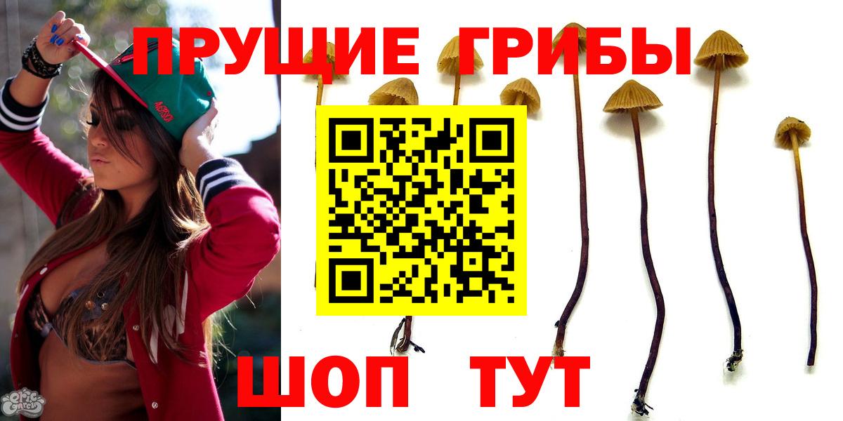 Галлюциногенные грибы Magic Shrooms Куйбышев
